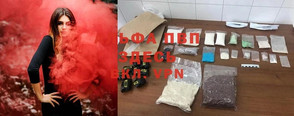 дживик Майский