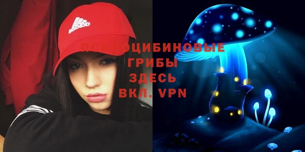 прущая мука Арсеньев