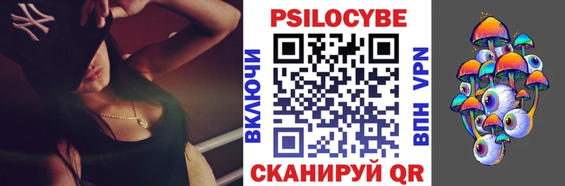 купить Судак Галлюциногенные грибы Psilocybine cubensis